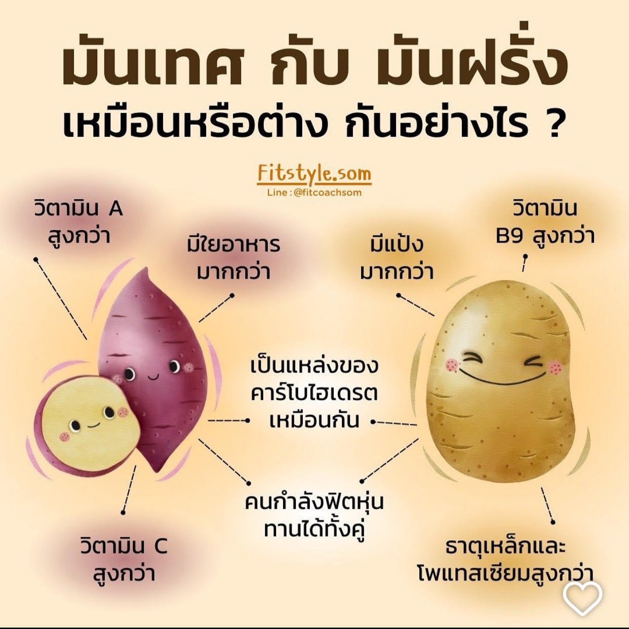 มันเทศ กับ มันฝรั่ง ต่างกันอย่างไร